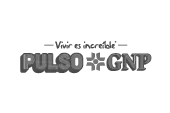 Pulso GNP