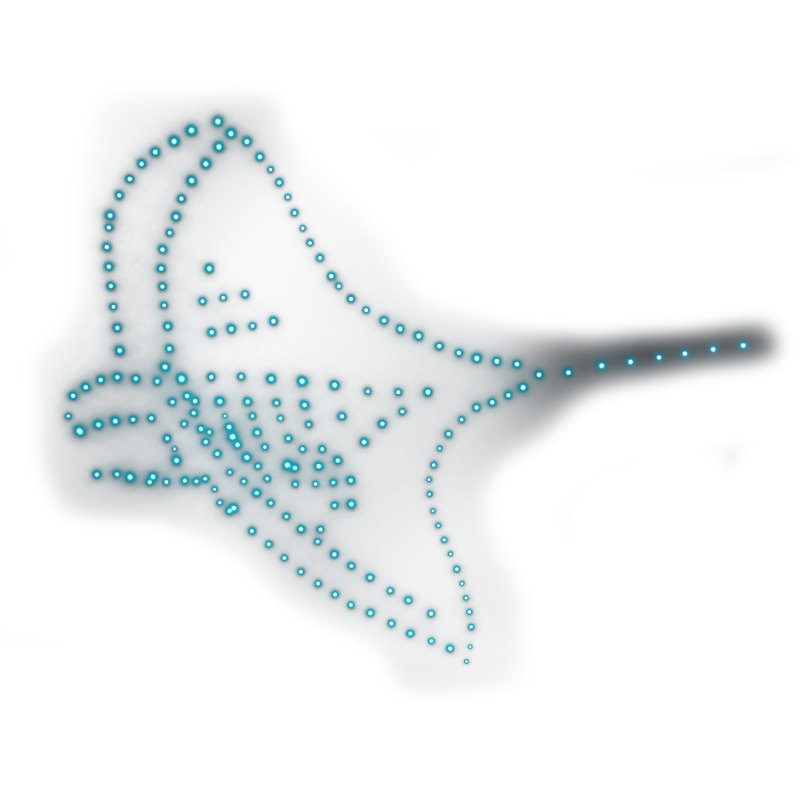 aion-drone-show-in-caribe-mantarraya