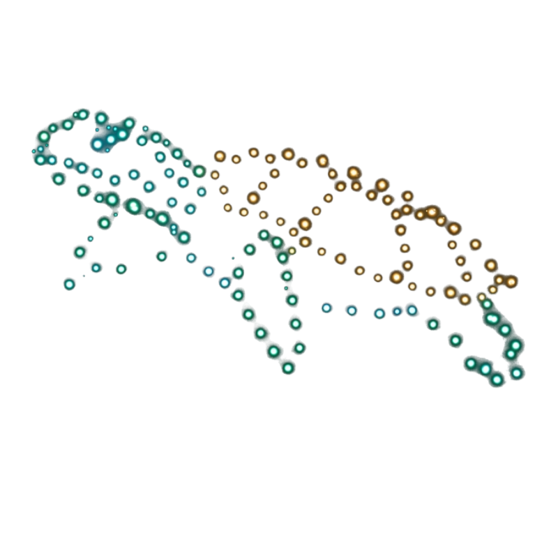 aion-drone-show-in-caribe-tortuga