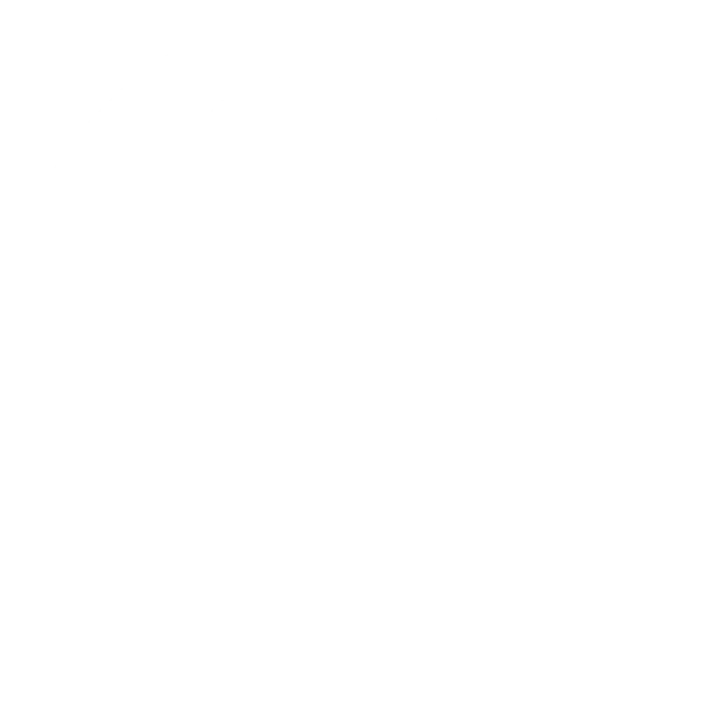 pilotos (1)