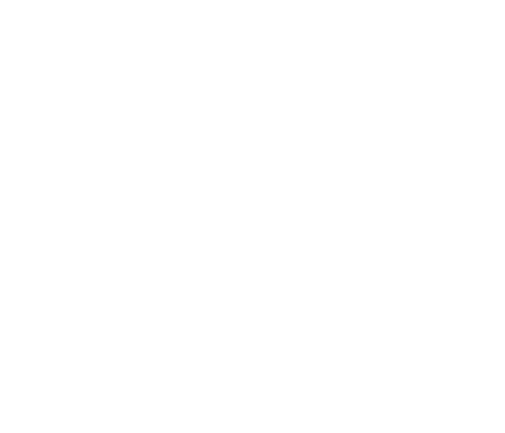 excellence logo