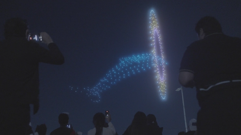delfin show de drones